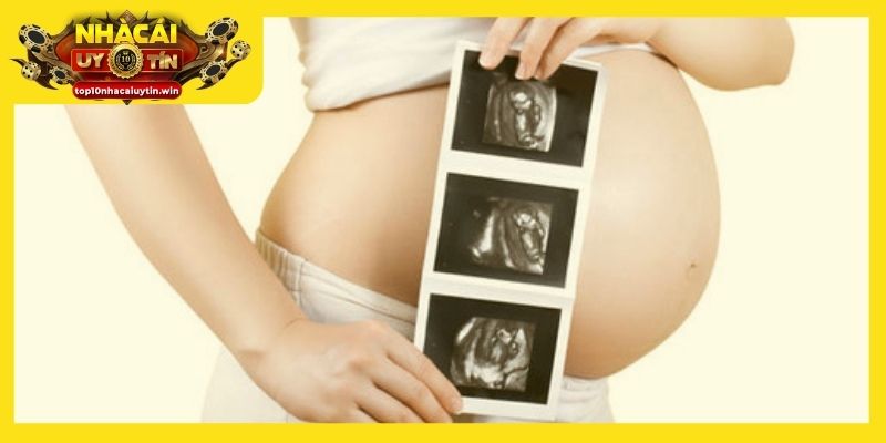 Chiêm bao thấy mình có bầu là điềm lành cho cuộc sống sắp tới